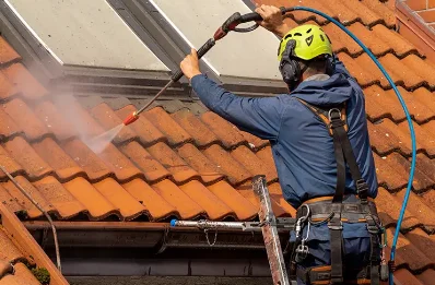 Démoussage et hydrofuge de toiture à Chanonat
